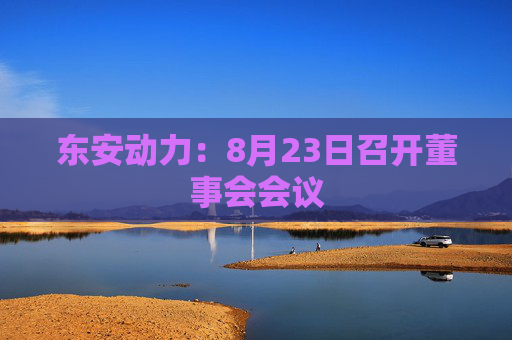 东安动力：8月23日召开董事会会议