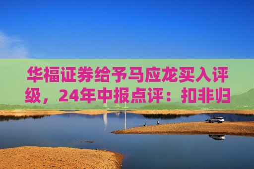 华福证券给予马应龙买入评级，24年中报点评：扣非归母净利润高速上涨，治痔类产品表现亮眼