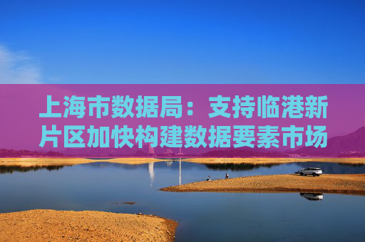 上海市数据局：支持临港新片区加快构建数据要素市场体系、做大做强数字经济