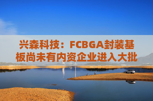 兴森科技：FCBGA封装基板尚未有内资企业进入大批量量产阶段