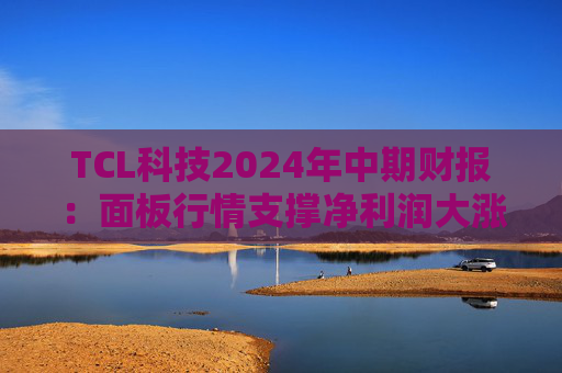 TCL科技2024年中期财报：面板行情支撑净利润大涨 光伏板块处于行业周期底部