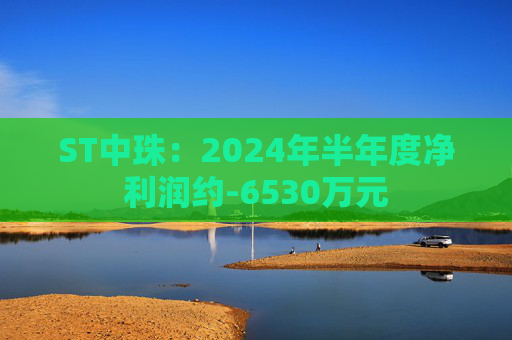 ST中珠：2024年半年度净利润约-6530万元