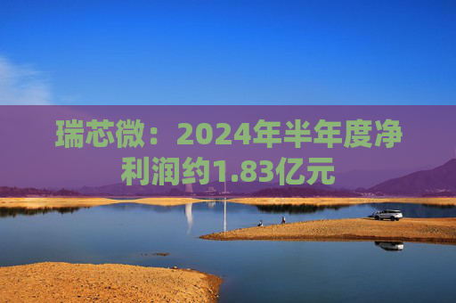 瑞芯微：2024年半年度净利润约1.83亿元