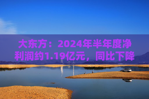 大东方：2024年半年度净利润约1.19亿元，同比下降14.38%