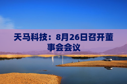 天马科技：8月26日召开董事会会议