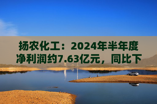 扬农化工：2024年半年度净利润约7.63亿元，同比下降32.1%