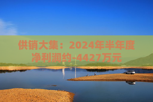 供销大集：2024年半年度净利润约-4427万元