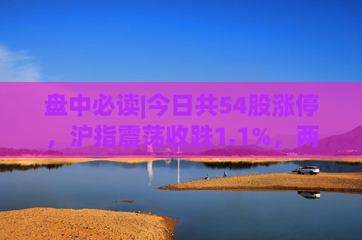 盘中必读|今日共54股涨停，沪指震荡收跌1.1%，两市下跌个股超4400只