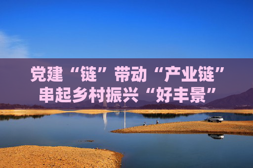 党建“链”带动“产业链”串起乡村振兴“好丰景”