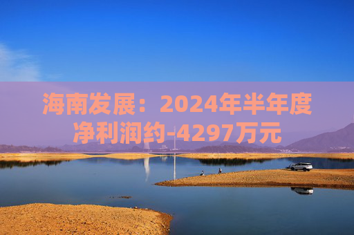 海南发展：2024年半年度净利润约-4297万元