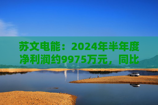 苏文电能：2024年半年度净利润约9975万元，同比下降27.86%