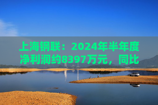 上海钢联：2024年半年度净利润约8397万元，同比下降29.41%