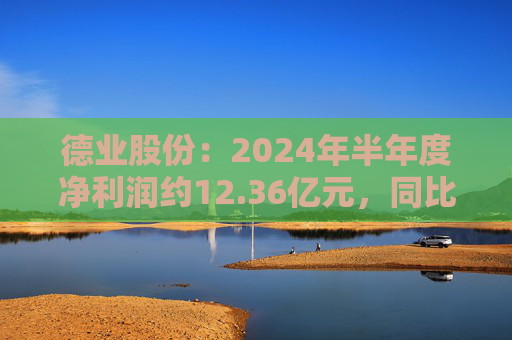 德业股份：2024年半年度净利润约12.36亿元，同比下降2.21%