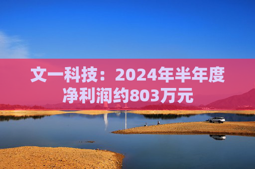 文一科技：2024年半年度净利润约803万元