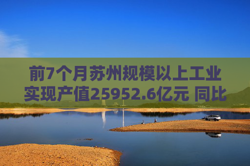 前7个月苏州规模以上工业实现产值25952.6亿元 同比增长5.6%