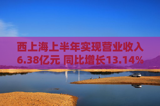 西上海上半年实现营业收入6.38亿元 同比增长13.14%