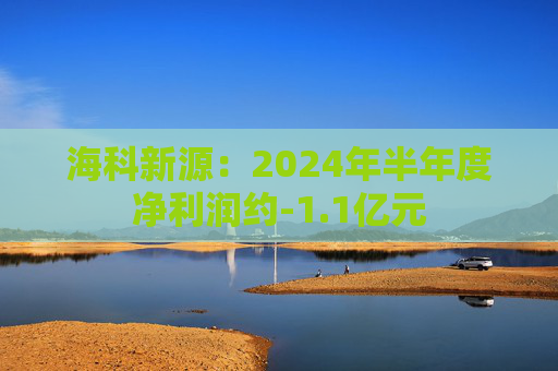 海科新源：2024年半年度净利润约-1.1亿元