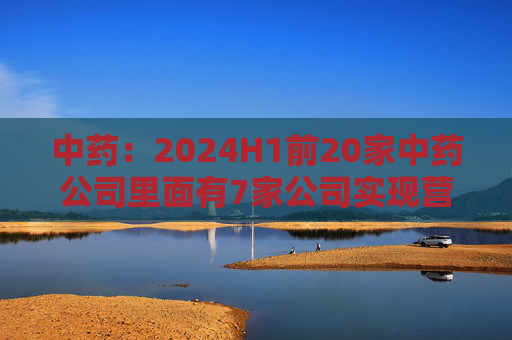 中药：2024H1前20家中药公司里面有7家公司实现营收增长，其他13家公司营收下降