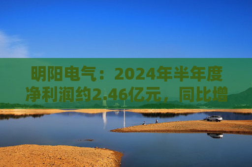 明阳电气：2024年半年度净利润约2.46亿元，同比增加52.36%