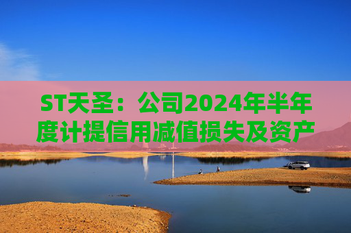 ST天圣：公司2024年半年度计提信用减值损失及资产减值损失合计约1046.31万元