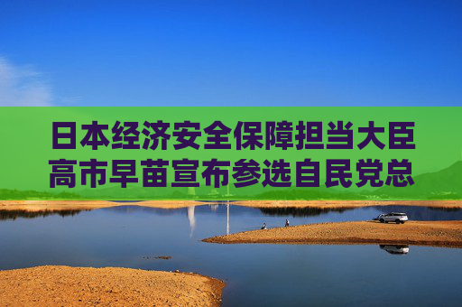 日本经济安全保障担当大臣高市早苗宣布参选自民党总裁