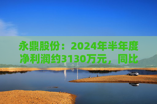 永鼎股份：2024年半年度净利润约3130万元，同比下降22.19%