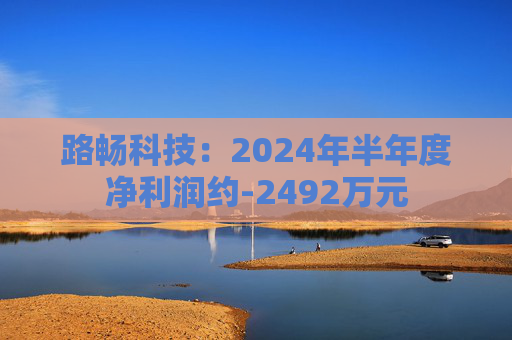 路畅科技：2024年半年度净利润约-2492万元