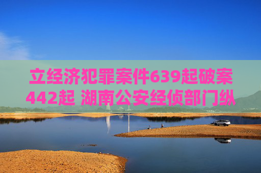 立经济犯罪案件639起破案442起 湖南公安经侦部门纵深推进夏季治安打击整治行动