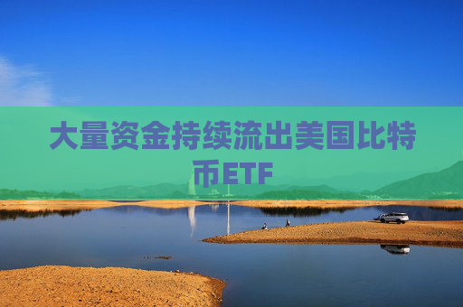 大量资金持续流出美国比特币ETF