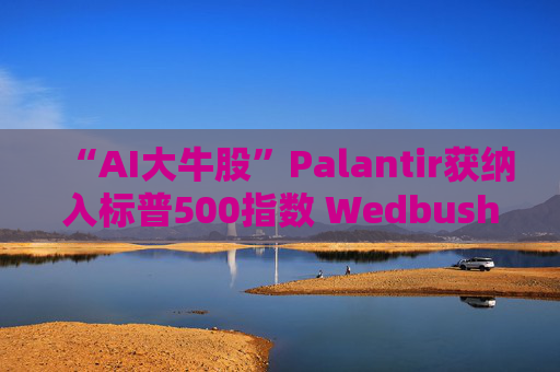 “AI大牛股”Palantir获纳入标普500指数 Wedbush赞不绝口