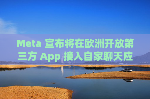 Meta 宣布将在欧洲开放第三方 App 接入自家聊天应用