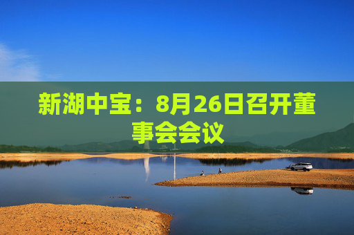 新湖中宝：8月26日召开董事会会议