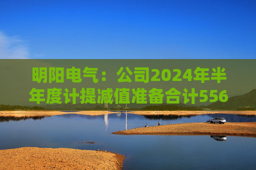 明阳电气：公司2024年半年度计提减值准备合计5561.69万元