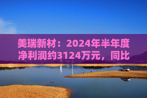 美瑞新材：2024年半年度净利润约3124万元，同比下降39.04%