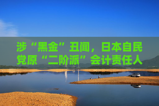 涉“黑金”丑闻，日本自民党原“二阶派”会计责任人被判2年监禁