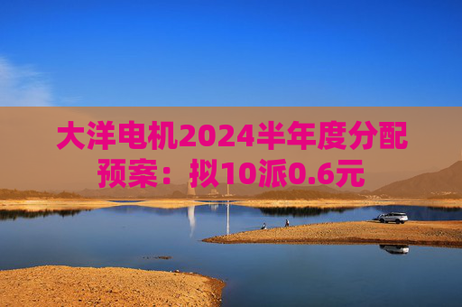 大洋电机2024半年度分配预案：拟10派0.6元