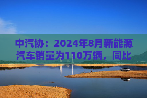 中汽协：2024年8月新能源汽车销量为110万辆，同比增长30%