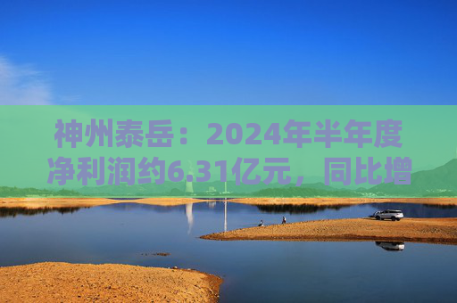 神州泰岳：2024年半年度净利润约6.31亿元，同比增加56.18%