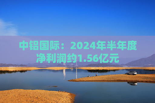 中铝国际：2024年半年度净利润约1.56亿元