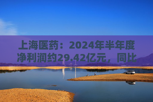 上海医药：2024年半年度净利润约29.42亿元，同比增加12.72%