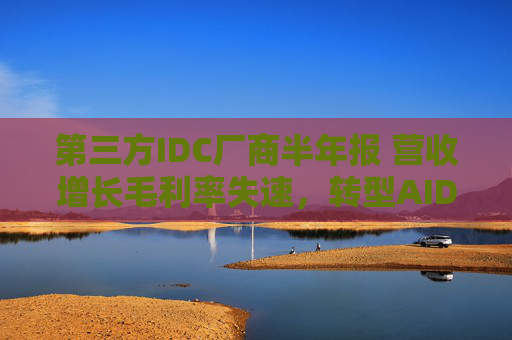 第三方IDC厂商半年报 营收增长毛利率失速，转型AIDC跑马圈地