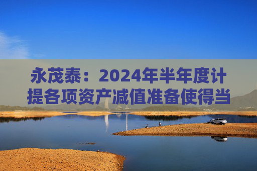 永茂泰：2024年半年度计提各项资产减值准备使得当期利润总额减少446.14万元