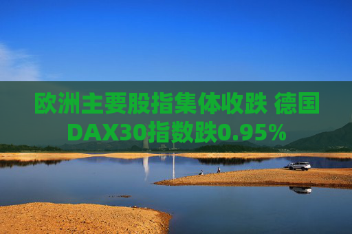 欧洲主要股指集体收跌 德国DAX30指数跌0.95%