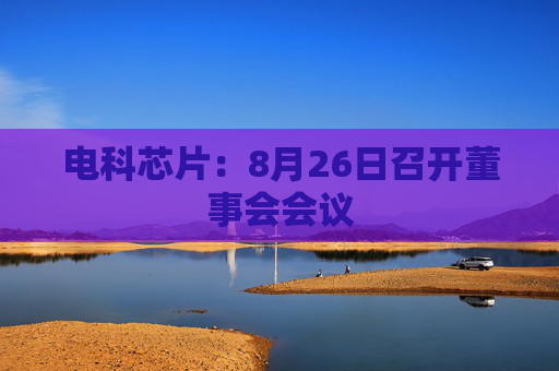 电科芯片：8月26日召开董事会会议