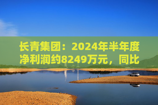 长青集团：2024年半年度净利润约8249万元，同比增加7.45%