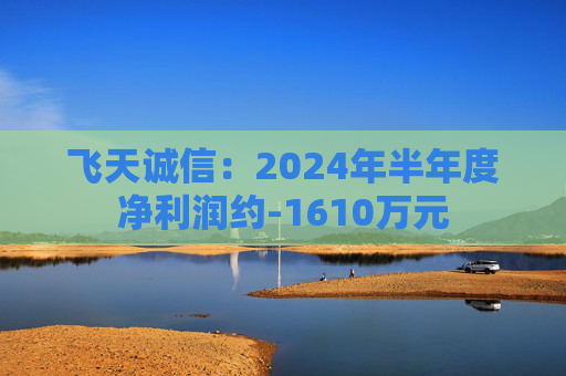 飞天诚信：2024年半年度净利润约-1610万元