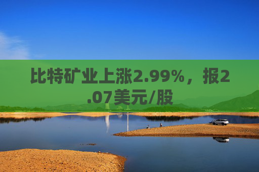 比特矿业上涨2.99%，报2.07美元/股