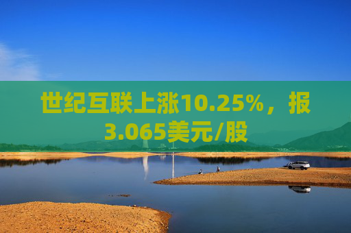 世纪互联上涨10.25%，报3.065美元/股