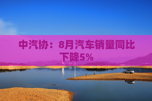 中汽协：8月汽车销量同比下降5%