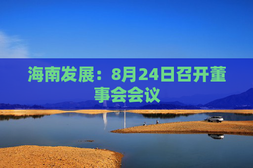 海南发展：8月24日召开董事会会议